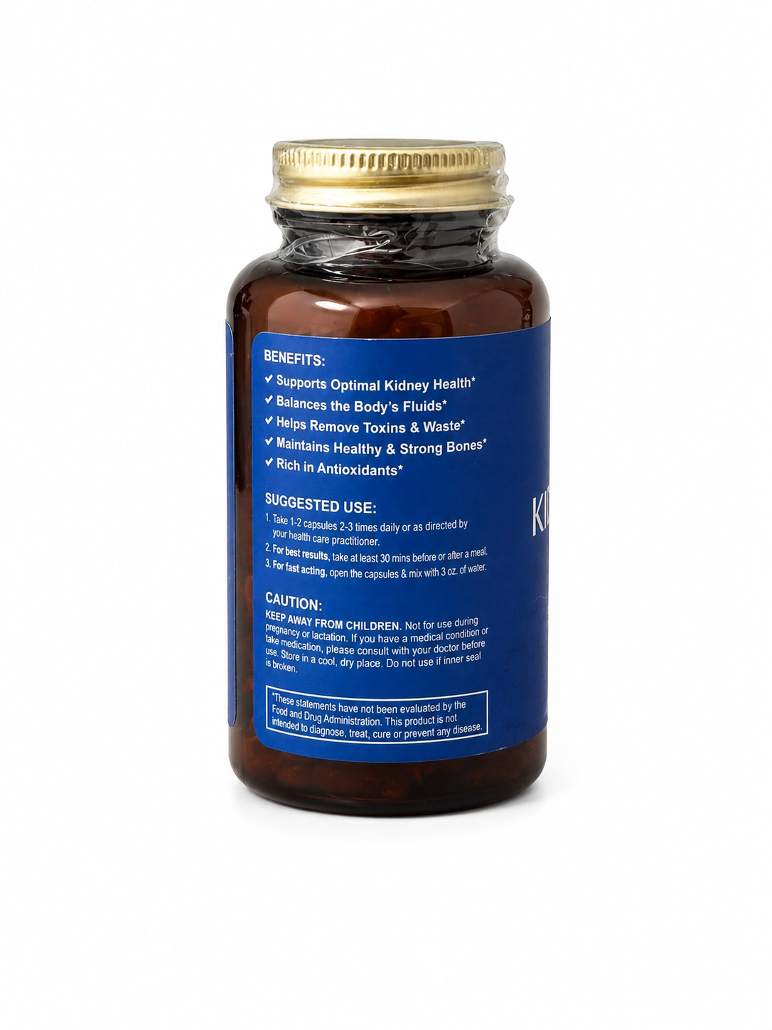 KIDNEY SUPPORT